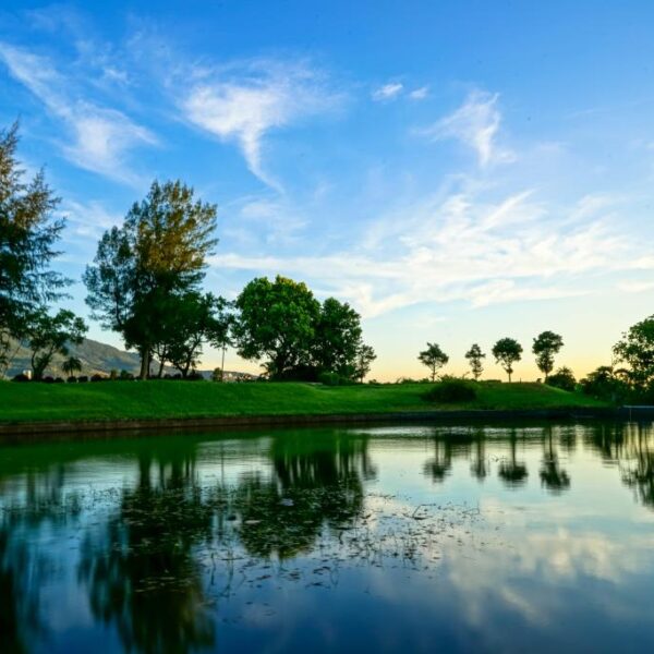 台灣高爾夫俱樂部01