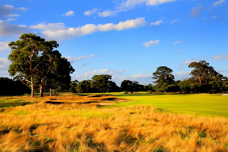 Kingston Heath Golf Club調色1