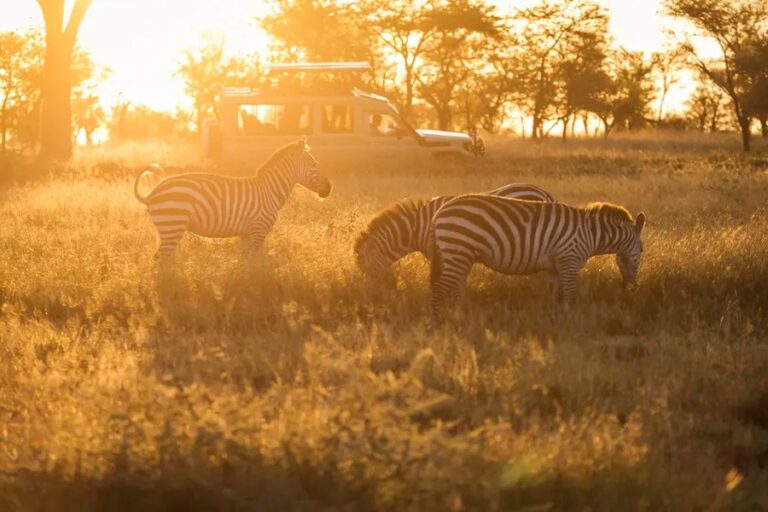 維京郵輪 | 全球 | 維京環球之旅 Viking World Journeys