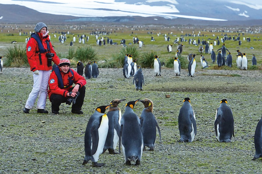 南極 | 南極野生動物探險 福克蘭群島、南喬治亞島和南極洲 Antarctic Wildlife Adventure Falklands, South Georgia & Antarctica