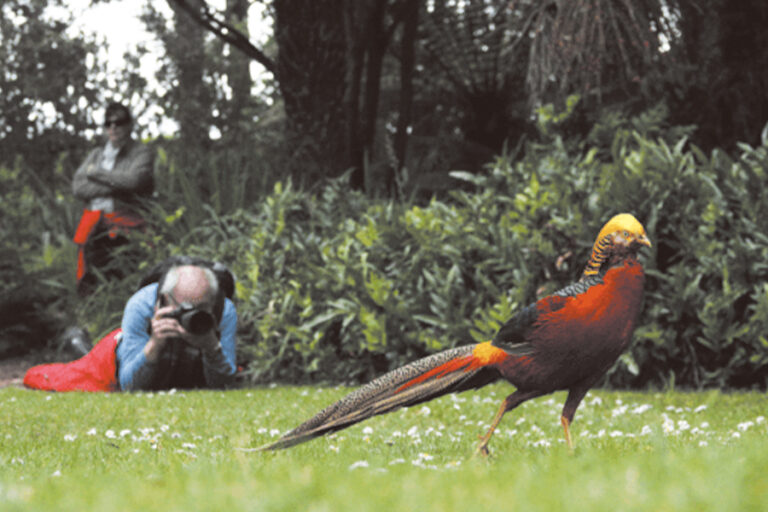 2024-0416 BEST OF BRITISH ISLES-7