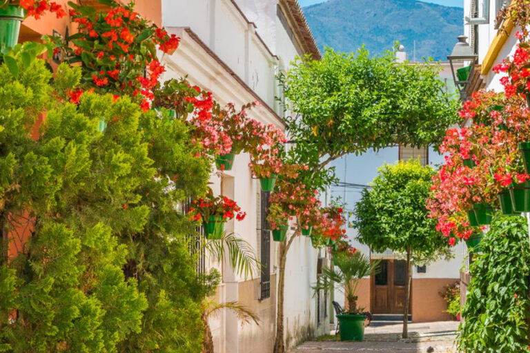 地中海 | 巴塞隆納/特內裡費島 BARCELONA / TENERIFE