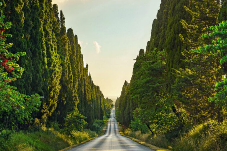 地中海 | 羅馬/巴塞隆納 ROME (CIVITAVECCHIA) / BARCELONA