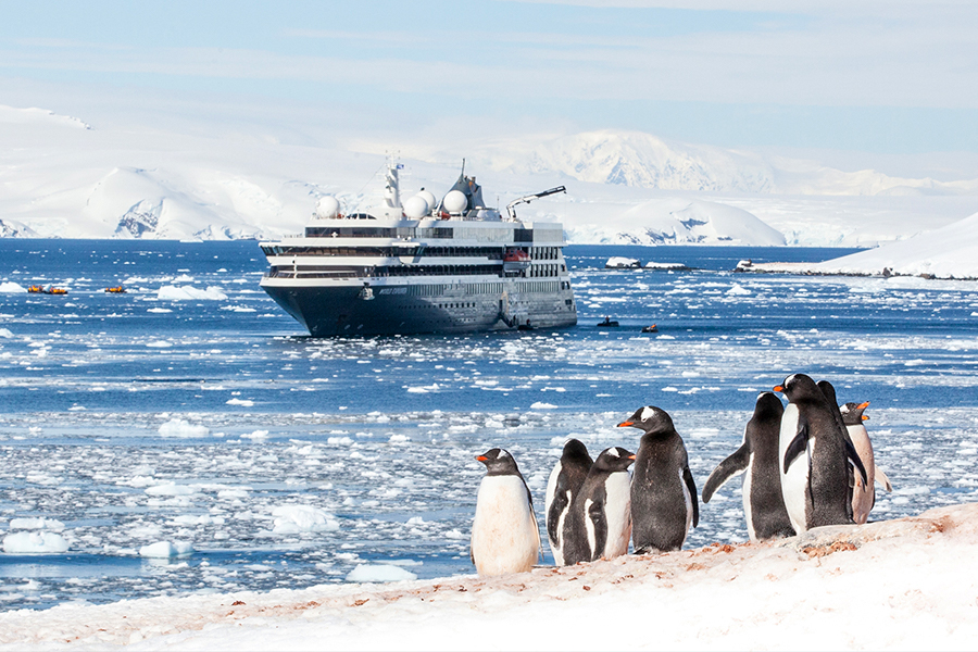 南極 | 南極快車 向南飛行，向北巡航 Antarctic Express Fly South, Cruise North