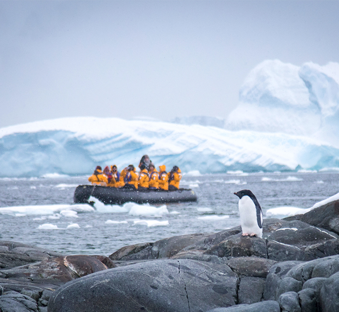 鷹飛國際旅行社 Infinity Tour | 南極 | 南極快車 向南飛行，向北巡航 Antarctic Express Fly South, Cruise North