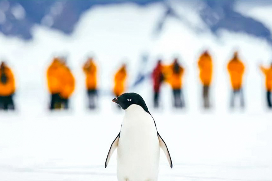 南極 | 南極快車 飛翔的德雷克 Antarctic Express: Fly the Drake