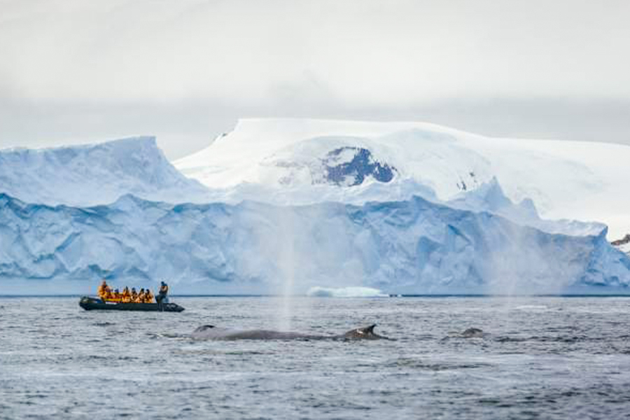 2024-0506 antarctic express fly the drake-image-7