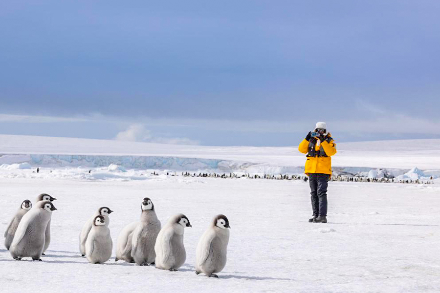 南極 | 帝企鵝任務 雪山探險 Emperor Penguin Quest Expedition to Snow Hill