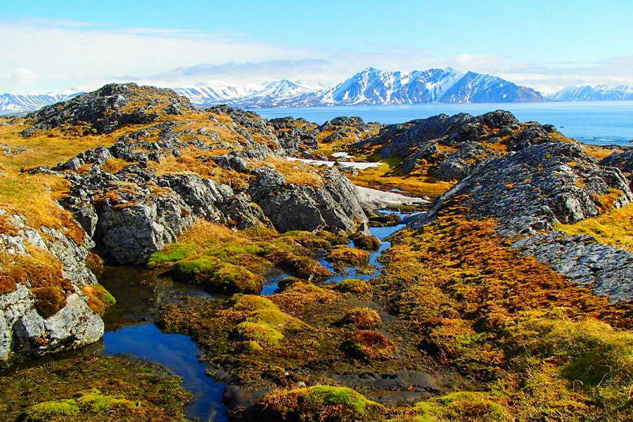 2024-0508 spitsbergen in depth big islands big adventure-image-2