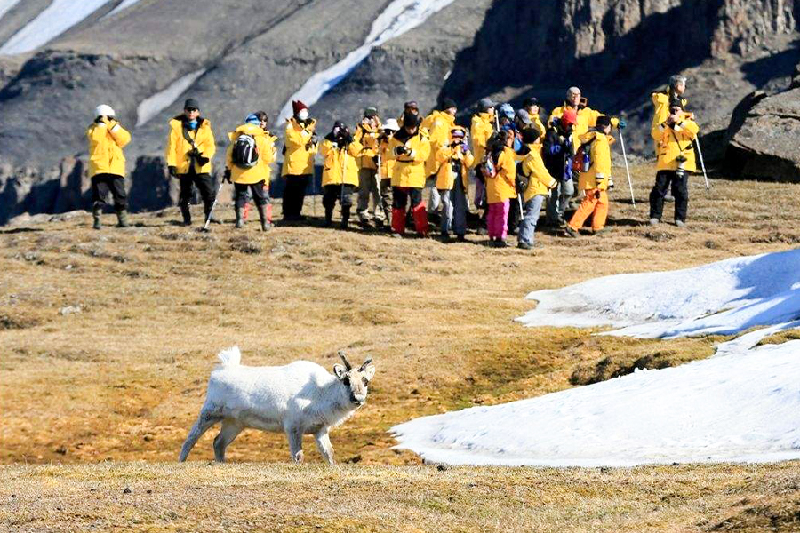2024-0508 spitsbergen in depth big islands big adventure-image-6