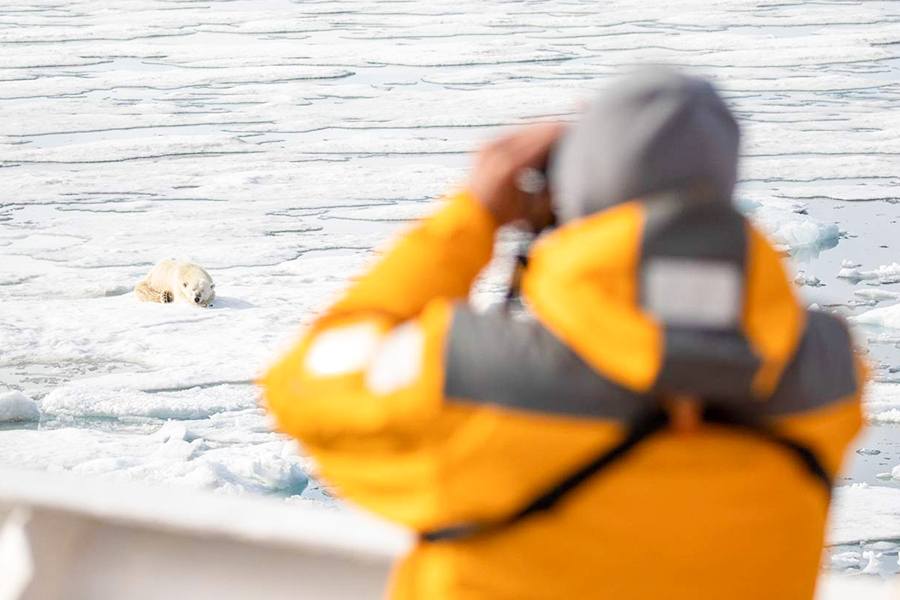 2024-0508 spitsbergen photography domain of polar the bear-image-2