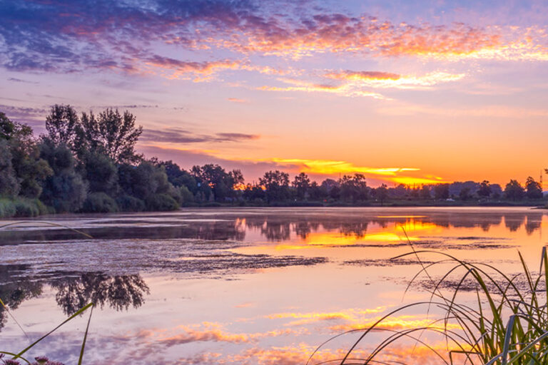 2024-0516 DANUBE WALTZ-IMAGE