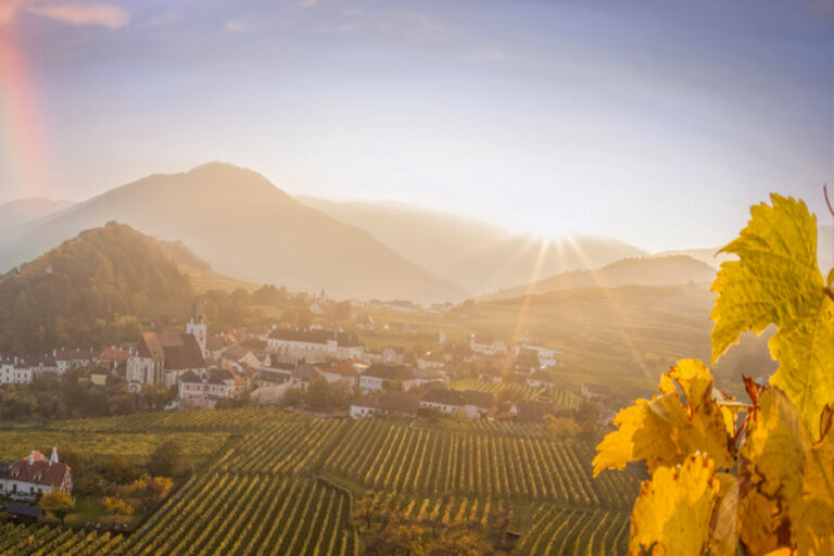 2024-0516 HIGHLIGHTS OF THE DANUBE-IMAGE