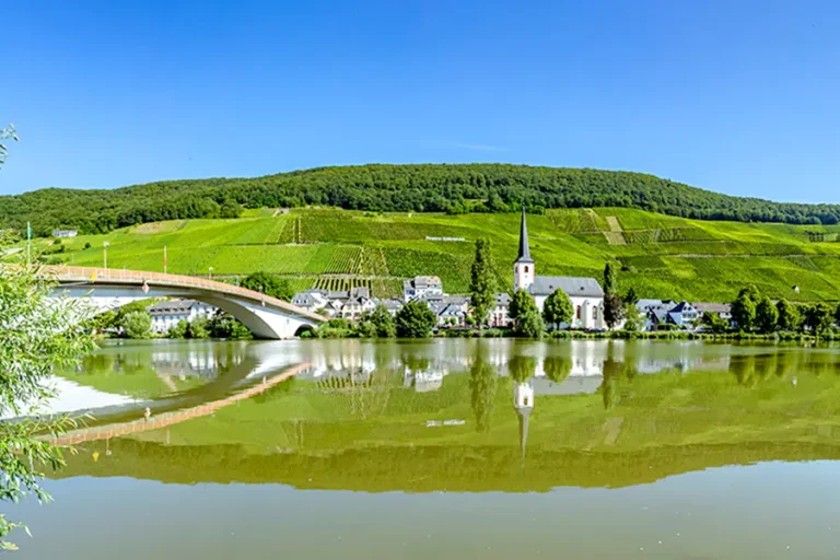 2024-0531 HIGHLIGHTS FROM THE RHINE AND MOSELLE-IMAGE