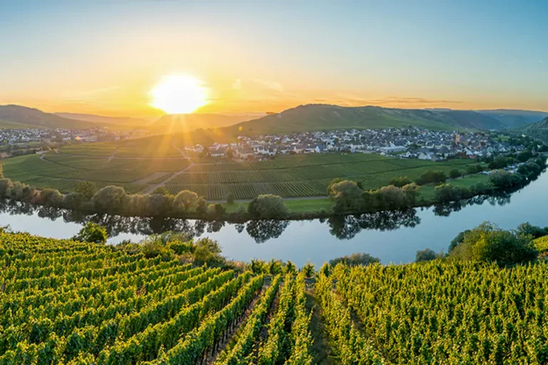 2024-0531 MOSELLE HIGHLIGHTS-IMAGE