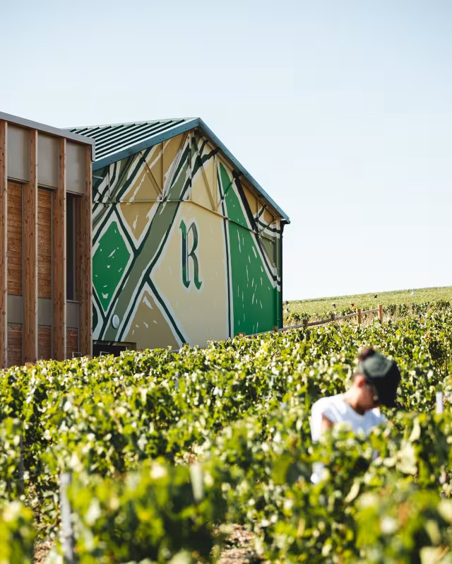 aif-peo-lei-activity-winery-ruinart07