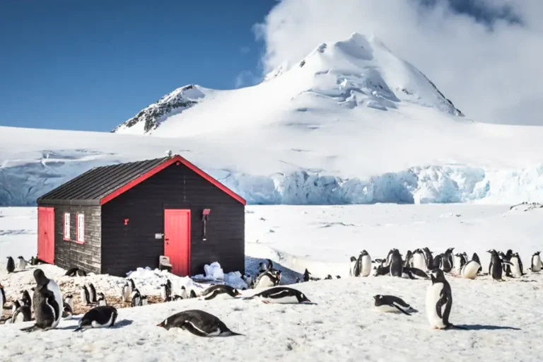 2024-0605 OCEANWIDE- Antarctica - Basecamp - free camping, kayaking, snowshoe hiking, photo workshop, mountaineering-IMAGE-1