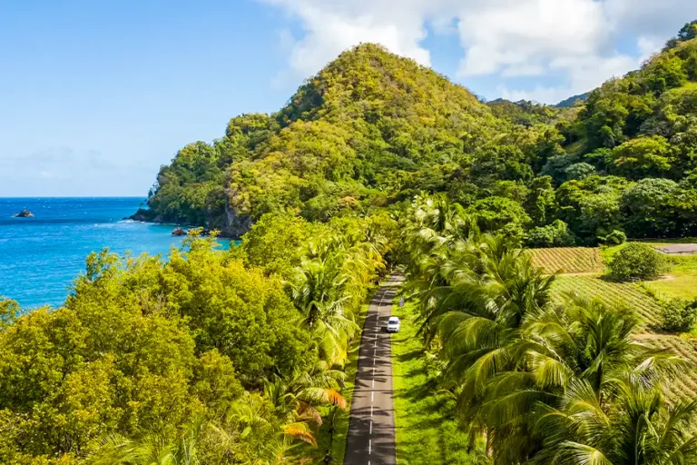 2024-0622 Lesser Antilles featuring Curaçao & Martinique-image-1