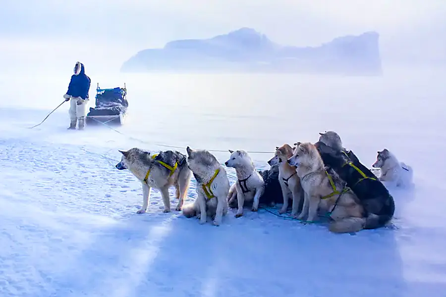 2024-0626 Encounter with the Last Guardians of the North Pole -IMAGE-1