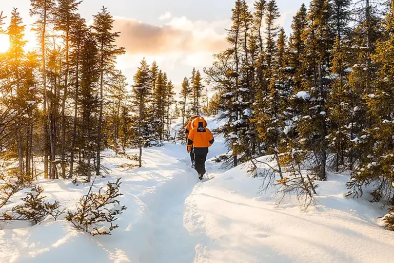 2024-0626 The St. Lawrence River in the Heart of the Boreal Winter-2-IMAGE