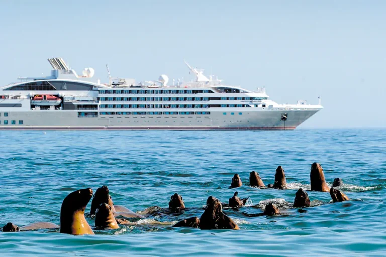 2024-0627 L'Austral-IMAGE-1