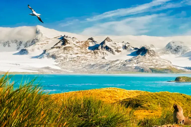 2024-0704 Antarctica & South Georgia Island-image