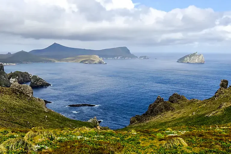 2024-0710 Ponant-Expedition to New Zealand’s Subantarctic Islands-IMAGE