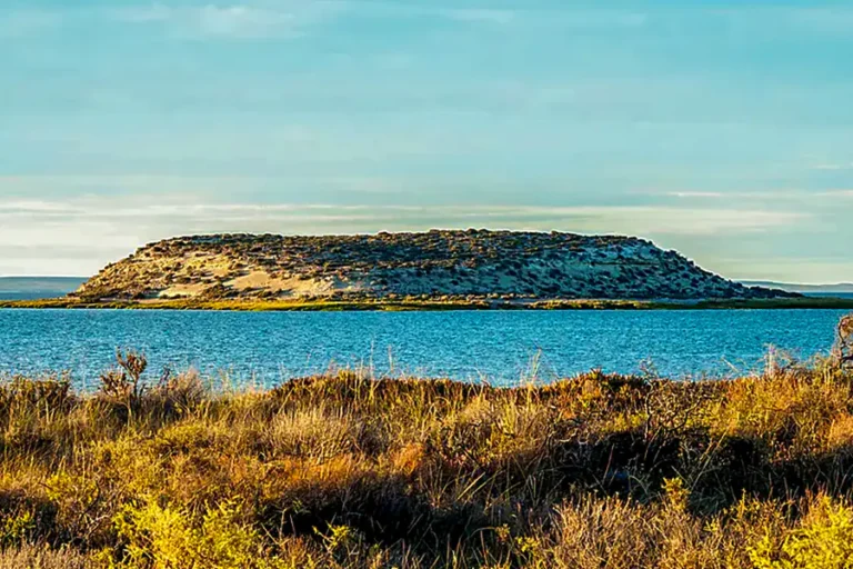 2024-0710 Ponant-Wild Nature between Argentina and the Falkland Islands-IMAGE