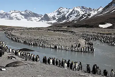 2025-0227 -ponant-Journey to Austral Lands and Valdes Peninsula-image-3