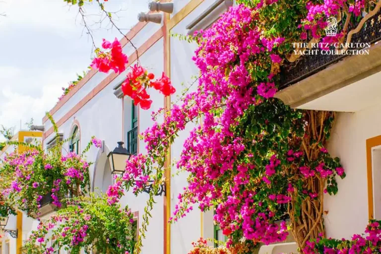 2024-1015-Barcelona-to-Tenerife,-Canary-Islands-image-1