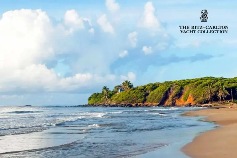 2024-1016-Bridgetown-to-Bridgetown-image