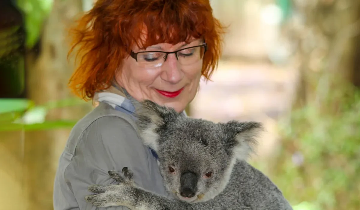 koala-185736_1280 (2)