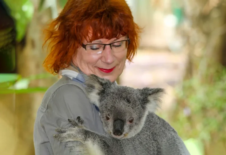 koala-185736_1280 (2)