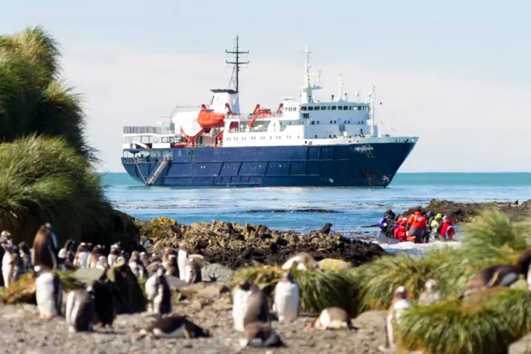 2024-1218 Ortelius-image-1