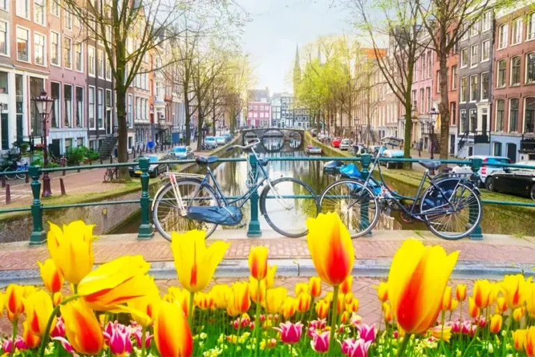 2025-0114-VIKING-Holland & Belgium-IMAGE