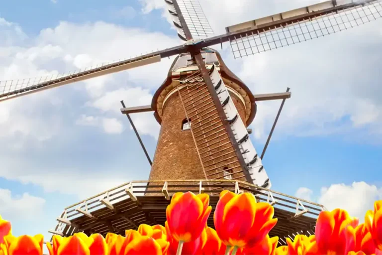 2025-0114-VIKING-Tulips & Windmills-IMAGE