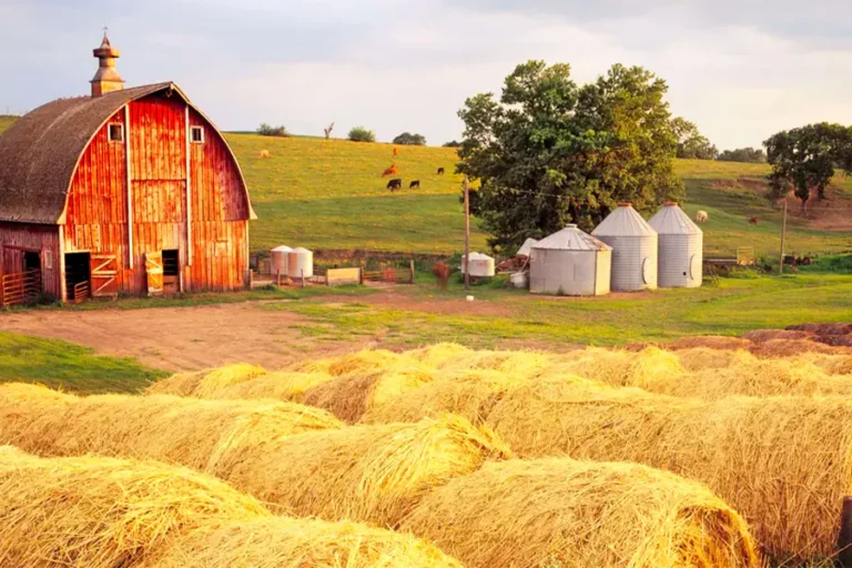 2025-0214-VILING-Heartland of America -image