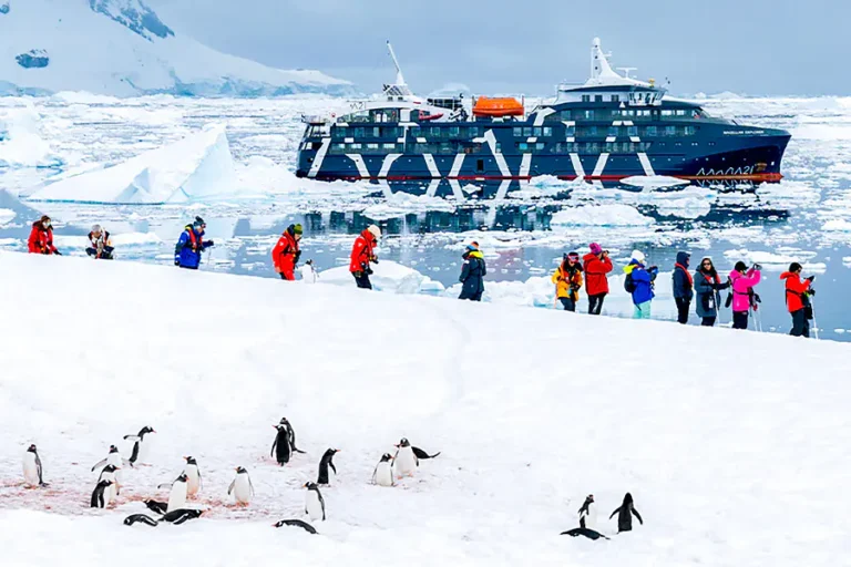 2025-0225-Antarctica21-Explore-polar-wonders-image-49