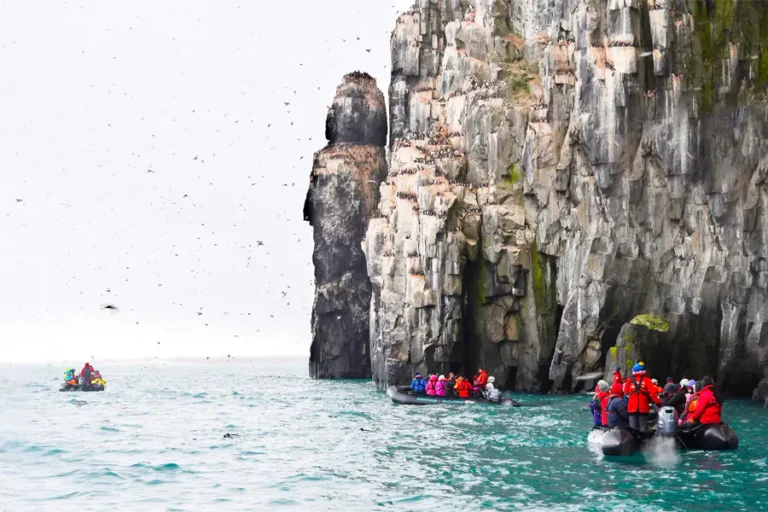 2025-0331 Around Spitsbergen, In the realm of Polar Bear & Ice-IMAGE
