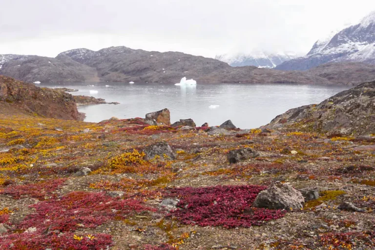 2025-0331 East Greenland, Scoresby Sund - Aurora Borealis, Including Long Hikes-IMAGE