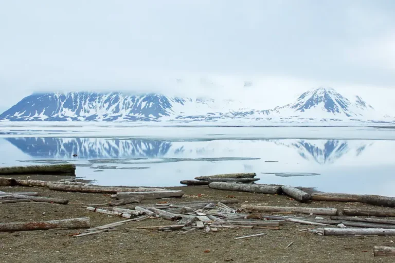 2025-0331 North Spitsbergen, Arctic Summer - Summer Solstice-image