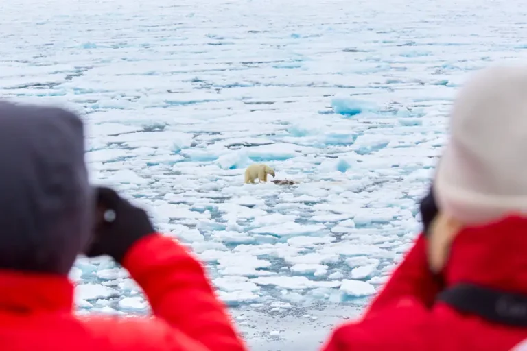 2025-0331 North Spitsbergen Explorer - Into the pack ice - Polar Bear Special-IMAGE