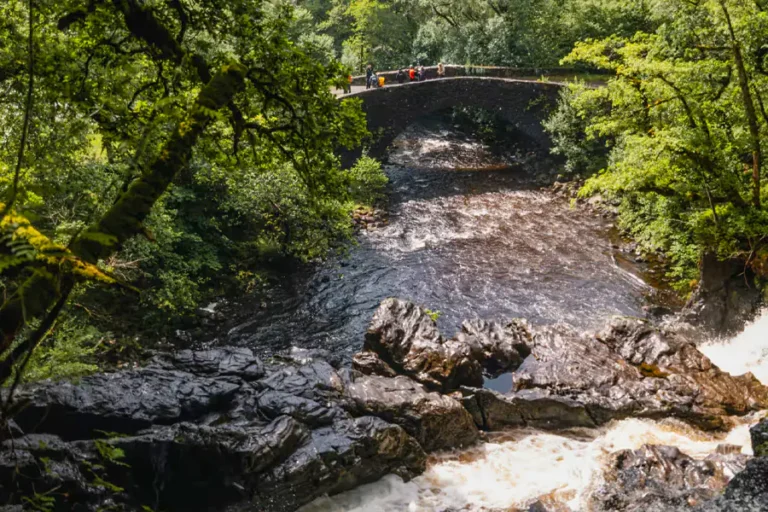 2025-0411 BELMOND Scotland-Wild Scotland-IMAGE-9X6