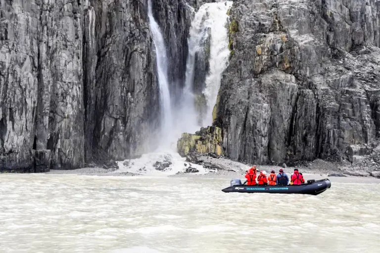 2025-0519-oceanwide-Around Spitsbergen, In the realm of Polar Bear & Ice-image-1