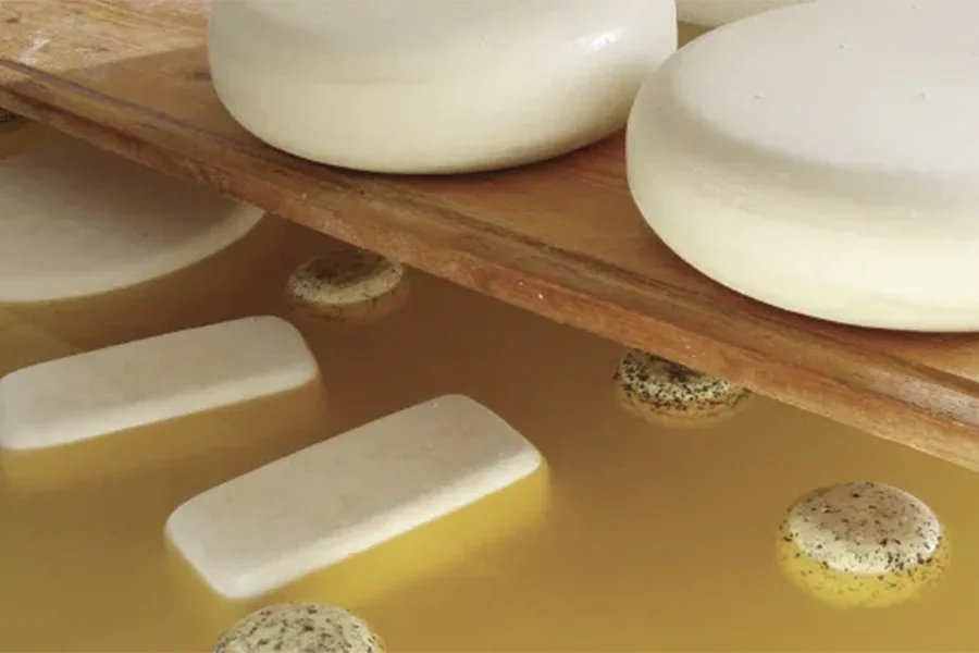 2025-1106 Rhine Getaway – Basel to Amsterdam-image-18