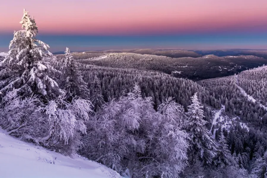 2025-1106 Rhine Getaway – Basel to Amsterdam-image-25