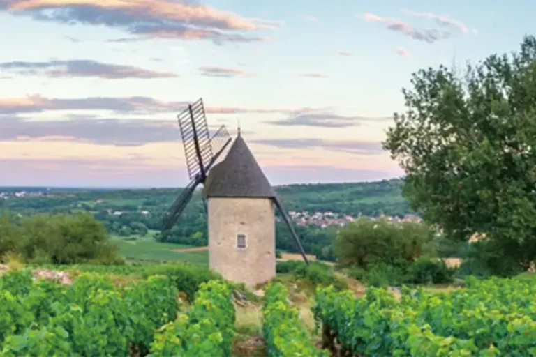 2025-0606-croisieurope-Fine-Food-and-Wines-on-a-Cruise-through-the-Burgundy-Region-IMAGE-2