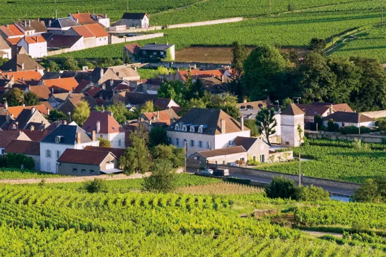 2025-0606-croisieurope-Fine-Food-and-Wines-on-a-Cruise-through-the-Burgundy-Region-IMAGE-5