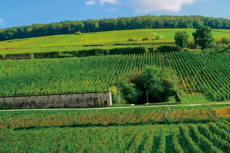 2025-0606-croisieurope-The-The-Burgundy-&-Petite-Saône-Cana-IMAGE-6