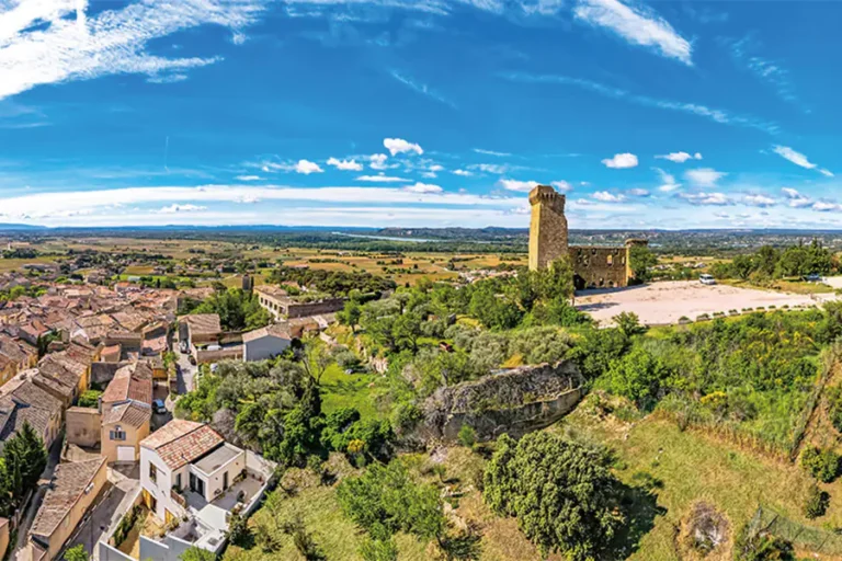 2025-0606-riverside-South of France Soirée With Pont du Gard & Rhône Delta-image